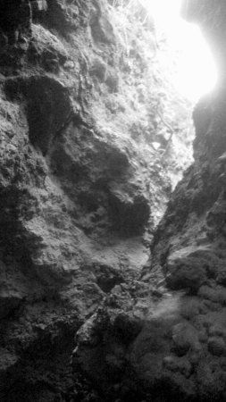 Eco Cave Gardens